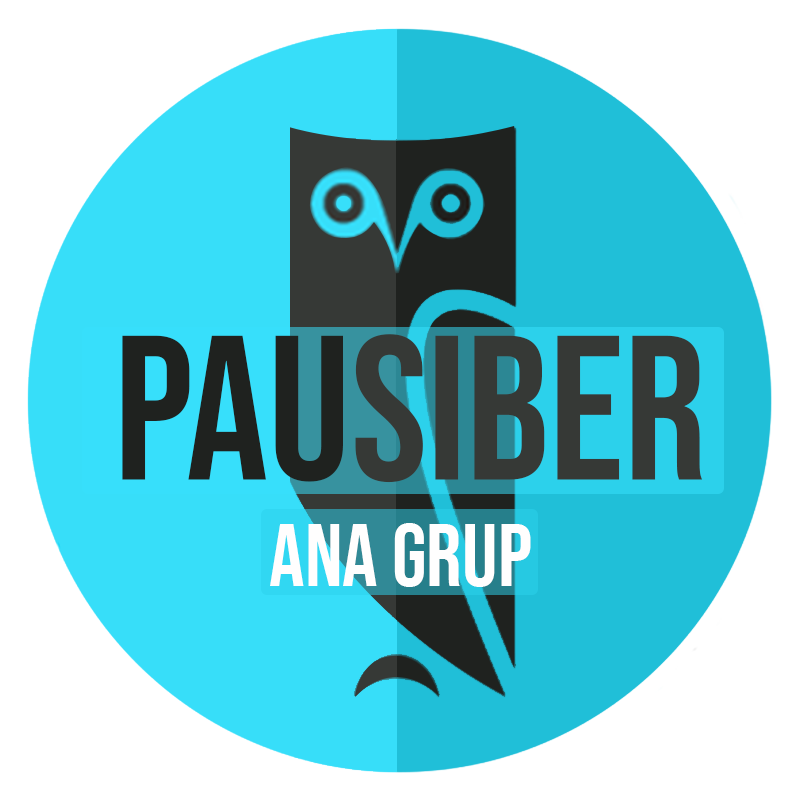 pausiber-logo-ana-grup.png